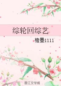 综轮回综艺封面