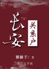 长安关系户封面