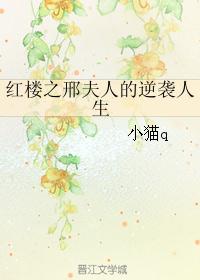 红楼之邢夫人的逆袭人生封面