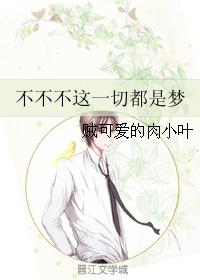 不不不这一切都是梦封面