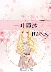 一叶障沐封面
