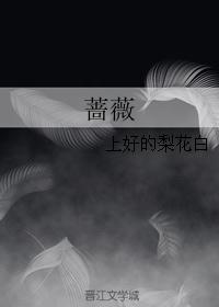 蔷薇封面