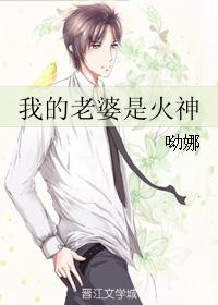 我的老婆是火神封面