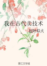 我在古代卖技术封面