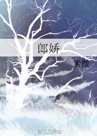 郎娇封面