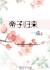 帝子归来封面