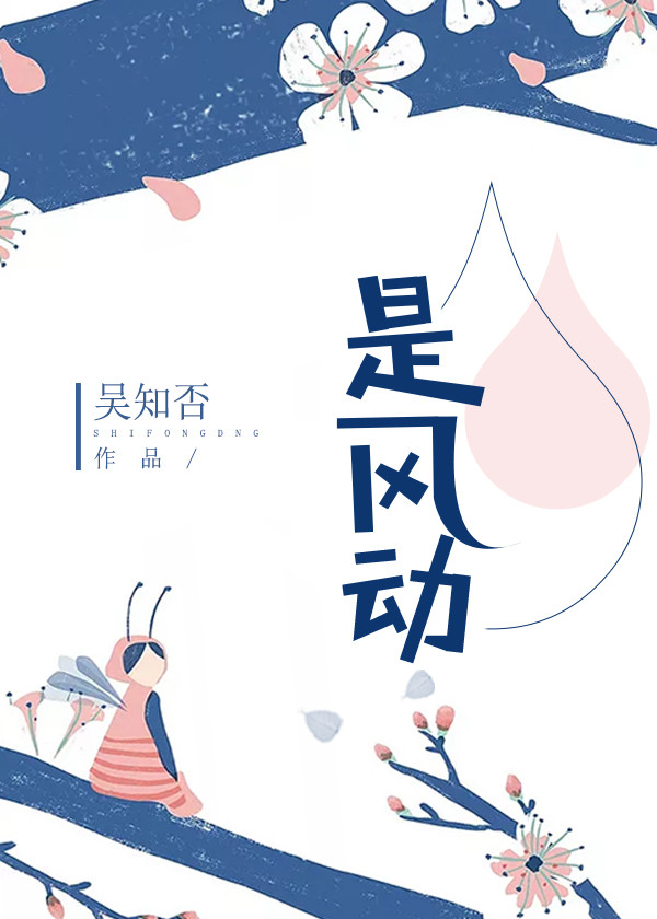 是风动封面