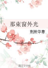 那束窗外光封面