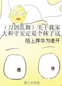 （刀剑乱舞）关于我家大和守安定是个妹子这件事封面