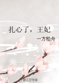 扎心了，王妃封面