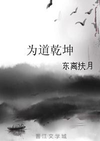 为道乾坤封面