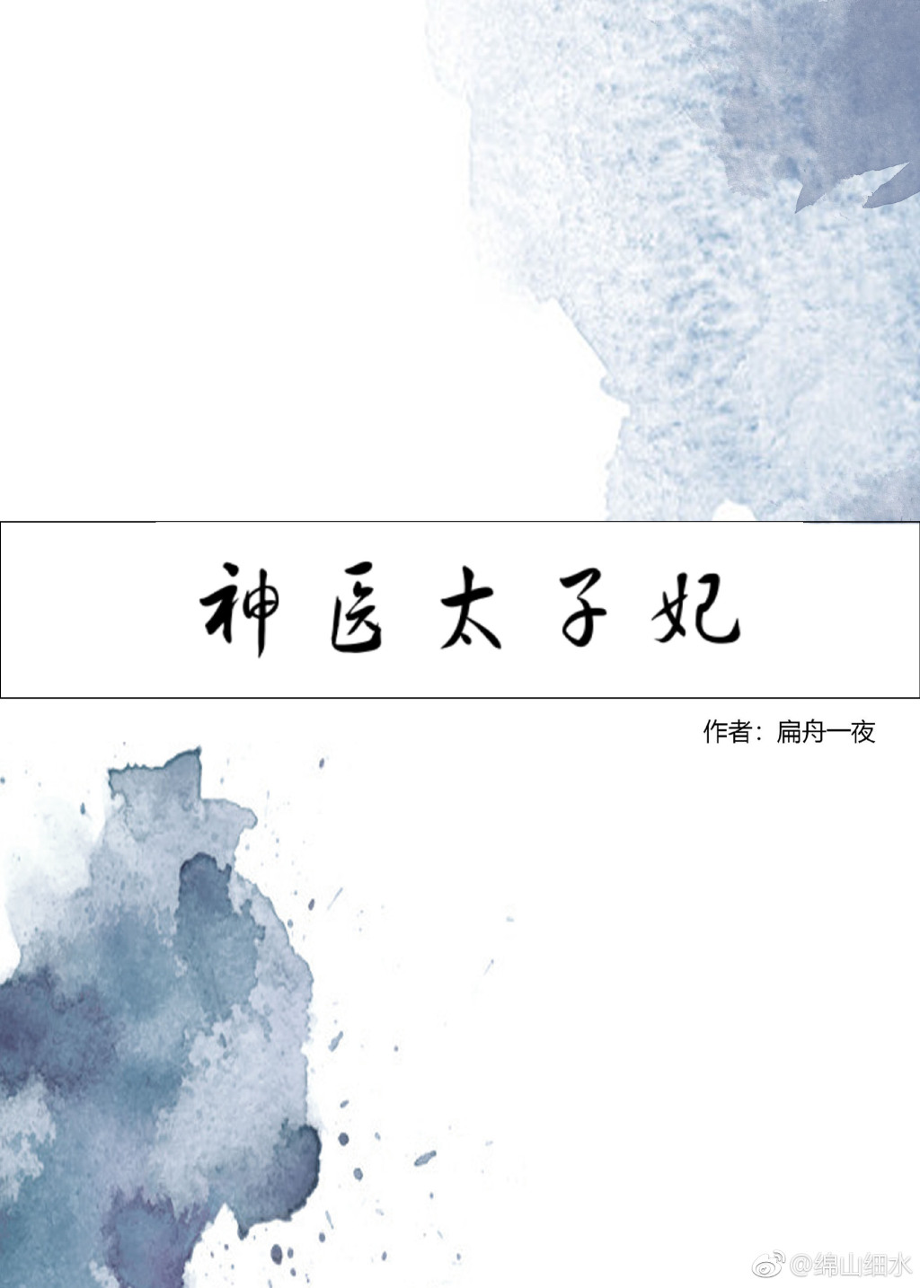 神医太子妃封面