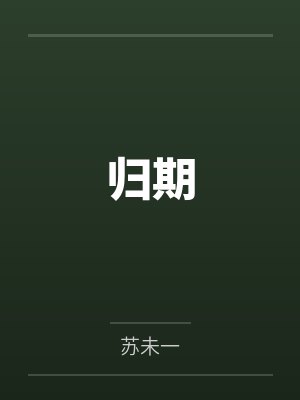 归期封面