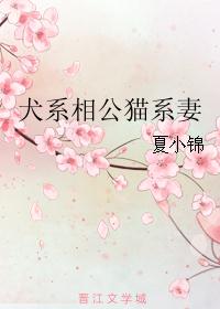 犬系相公猫系妻封面