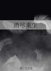 消尽重生封面