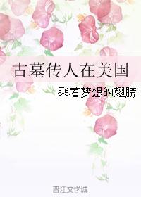 古墓传人在美国封面
