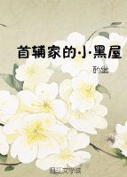 首辅家的小黑屋封面
