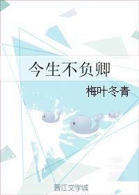 今生不负卿封面