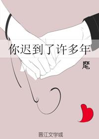 你迟到了许多年封面