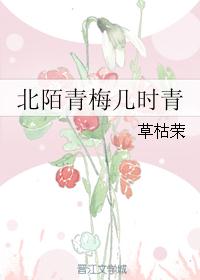 北陌青梅几时青封面