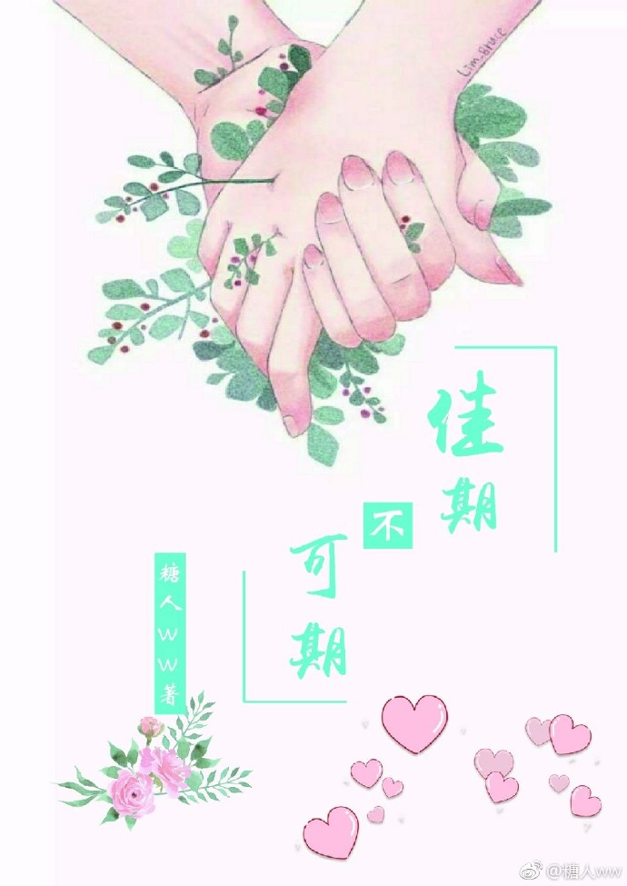 佳期不可期封面