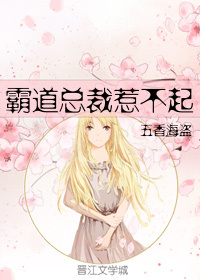 霸道总裁惹不起封面