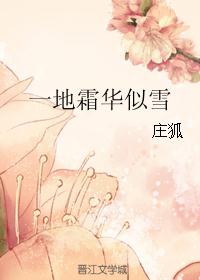 一地霜华似雪封面