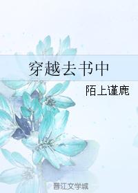 穿越去书中封面