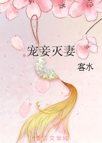 宠妾灭妻是什么意思封面