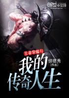 王者荣耀与我的传奇人生封面
