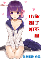 小姐姐你了不起封面