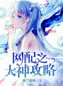 网配之大神攻略封面