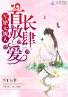 军婚太缠人：首长，放肆爱封面