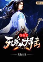 重生之天魂大陆封面