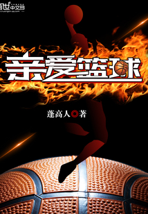 亲爱篮球封面
