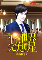 平行世界完美明星封面