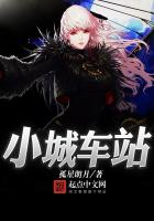 小城车站封面