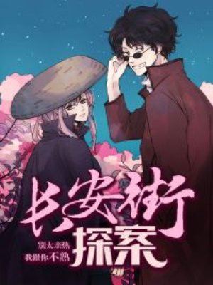 长安街探案封面