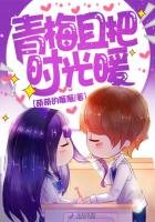 青梅且把时光暖封面