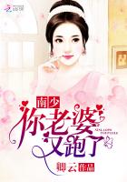 南少，你老婆又跑了封面