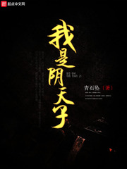 我是阴天子封面