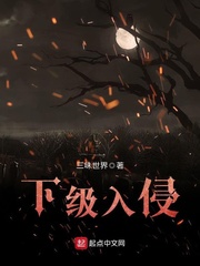 下级入侵封面