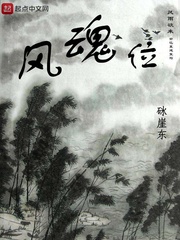风魂位封面