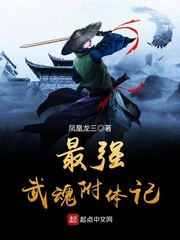 最强武魂附体记封面
