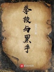 拳技与黑手封面
