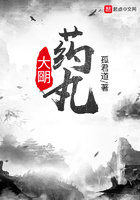 大朙药丸 孤君道封面