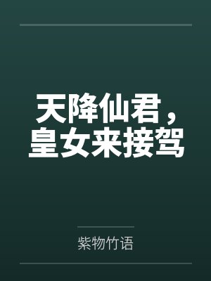 天降仙女的小说封面