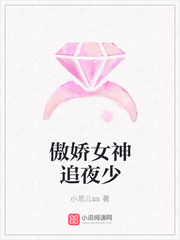 傲娇女神追夜少封面