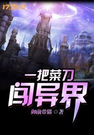 一把菜刀闯天下封面