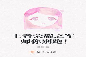 王者荣耀之军师你别跑！封面